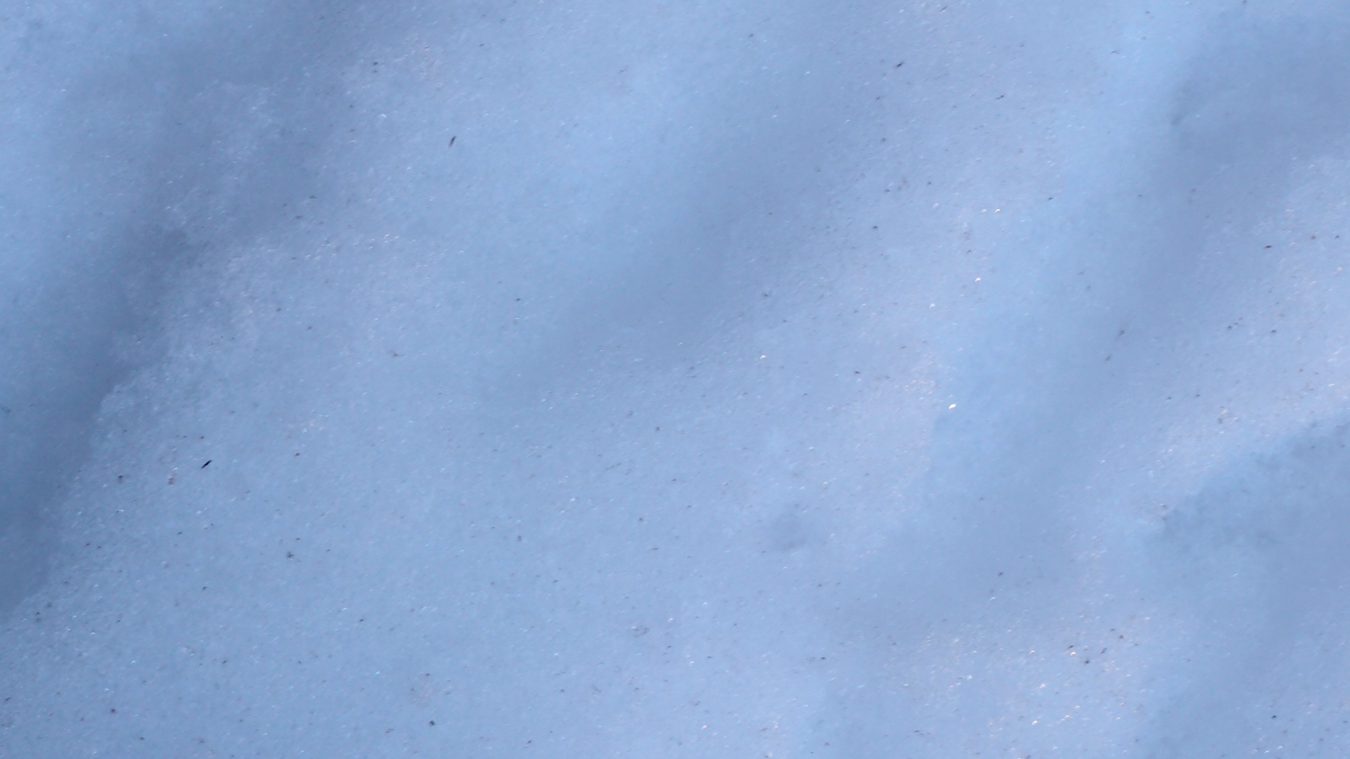 2021-01-30 Wasser in der Sple II (Remix John Cage 'Sonatas & Interludes', On-Off) (Komposition, Remix, Recording, Foto)